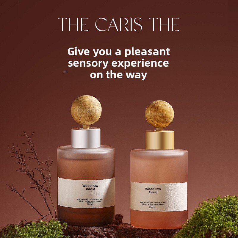 Diffuser Car Air Freshener Ree - đánh giá và giá Odor Eliminator Car